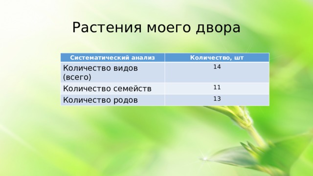 Растения моего двора Систематический анализ Количество, шт Количество видов (всего) 14 Количество семейств 11 Количество родов 13