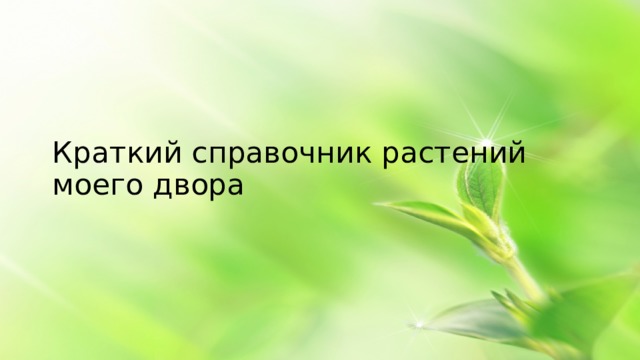 Краткий справочник растений моего двора