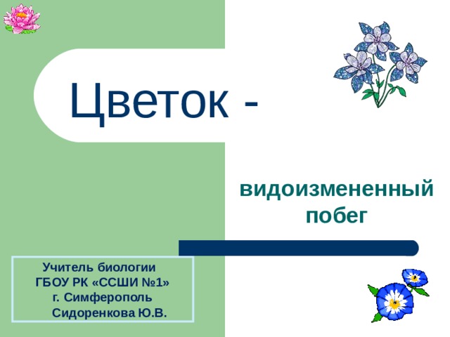 Цветок - видоизмененный побег Учитель биологии ГБОУ РК «ССШИ №1» г. Симферополь Сидоренкова Ю.В.