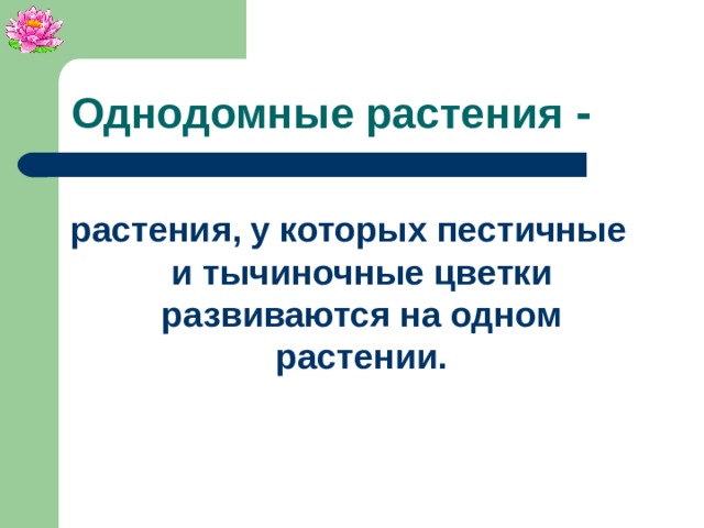 Однодомные растения - растения, у которых пестичные и тычиночные цветки развиваются на одном растении.