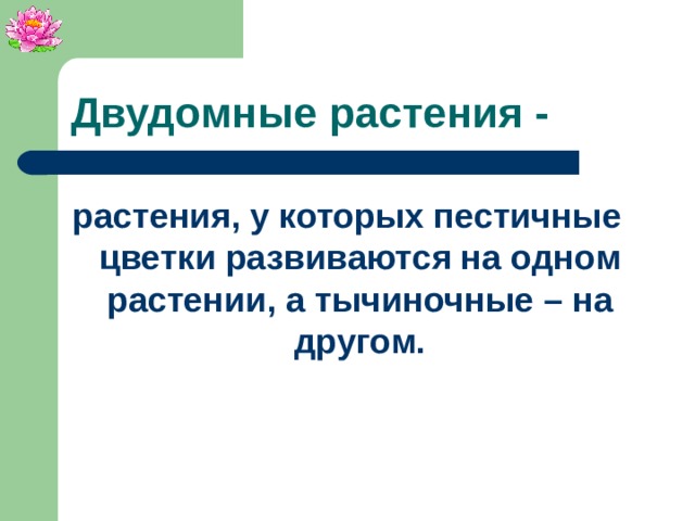 Двудомные растения - растения, у которых пестичные цветки развиваются на одном растении, а тычиночные – на другом.