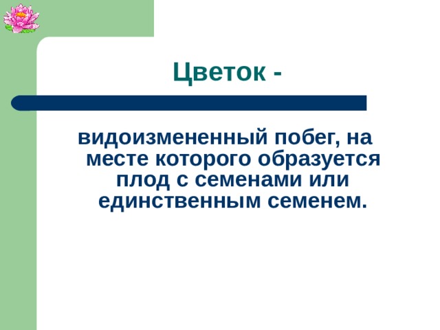 Цветок - видоизмененный побег, на месте которого образуется плод с семенами или единственным семенем.