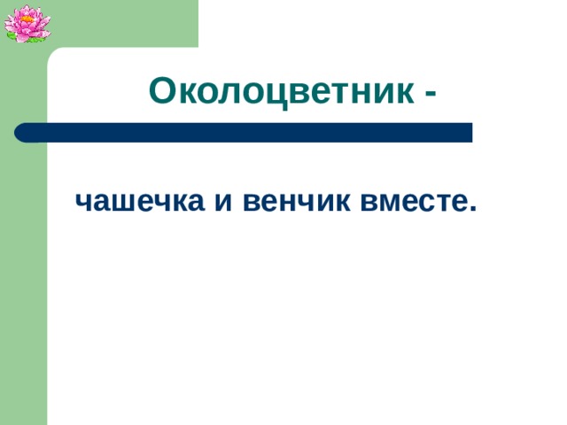 Околоцветник - чашечка и венчик вместе.