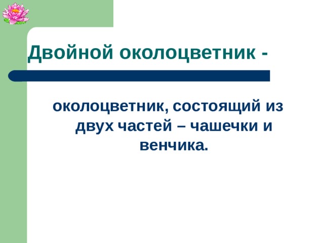 Двойной околоцветник - околоцветник, состоящий из двух частей – чашечки и венчика.