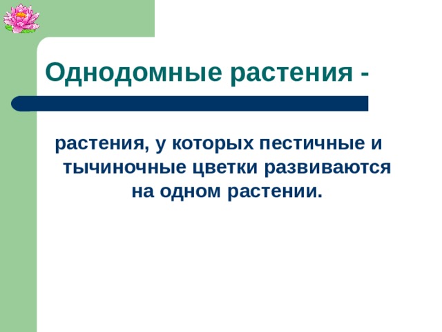 Однодомные растения - растения, у которых пестичные и тычиночные цветки развиваются на одном растении.