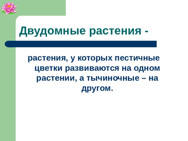 Двудомные растения - растения, у которых пестичные цветки развиваются на одном растении, а тычиночные – на другом.