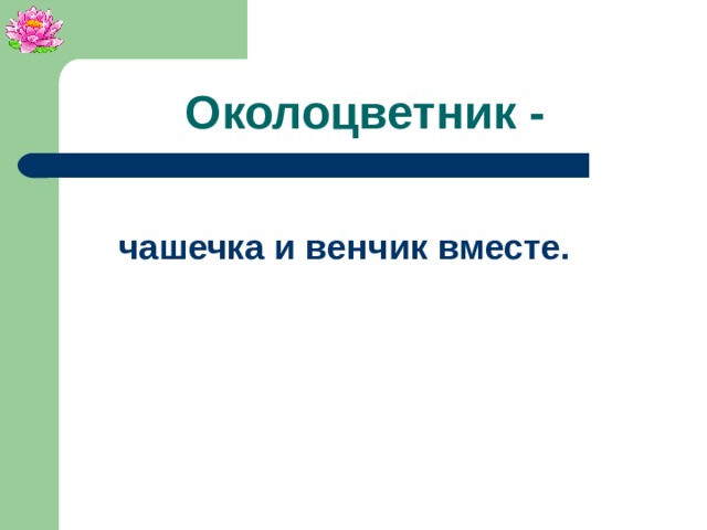 Околоцветник - чашечка и венчик вместе.
