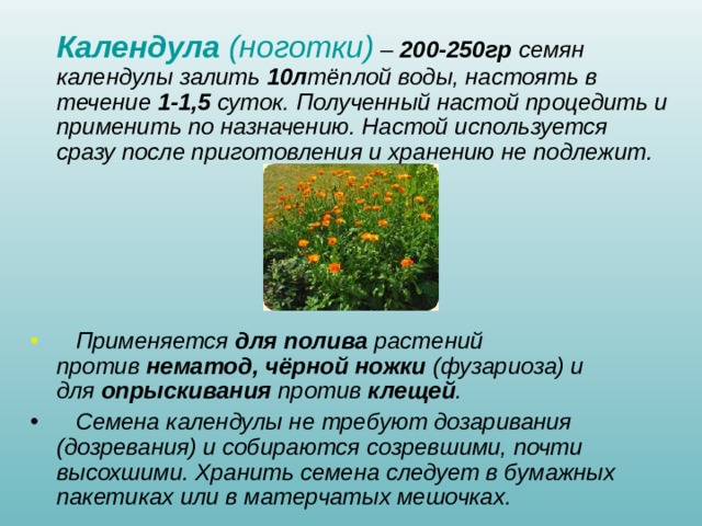 Календула (ноготки) – 200-250гр семян календулы залить 10л тёплой воды, настоять в течение 1-1,5 суток. Полученный настой процедить и применить по назначению. Настой используется сразу после приготовления и хранению не подлежит. Применяется для полива растений против нематод, чёрной ножки (фузариоза) и для опрыскивания против клещей . Семена календулы не требуют дозаривания (дозревания) и собираются созревшими, почти высохшими. Хранить семена следует в бумажных пакетиках или в матерчатых мешочках.