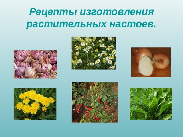 Рецепты изготовления растительных настоев.
