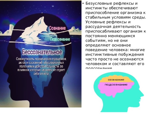 Безусловные рефлексы и инстинкты обеспечивают приспособление организма к стабильным условиям среды. Условные рефлексы и рассудочная деятельность приспосабливают организм к постоянно меняющимся событиям, но не они определяют основное поведение человека: многие инстинктивные побуждения часто просто не осознаются человеком и составляют его подсознание. 