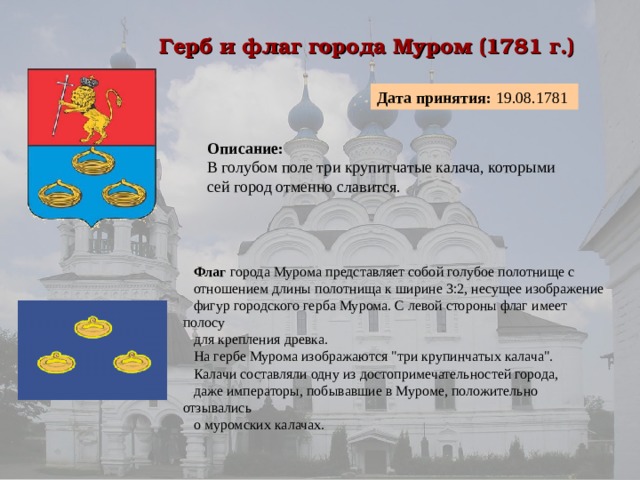 Владимирский сфр. Герб города Муром Владимирской области. Символ города Муром. Герб и флаг Мурома. Муром символика города проект.