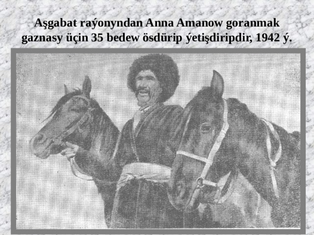 Aşgabat raýonyndan Anna Amanow goranmak gaznasy üçin 35 bedew ösdürip ýetişdiripdir, 1942 ý. 