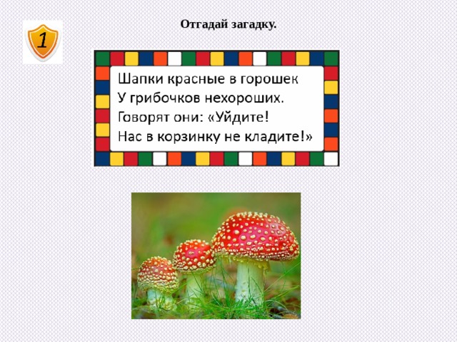 Отгадай загадку. 