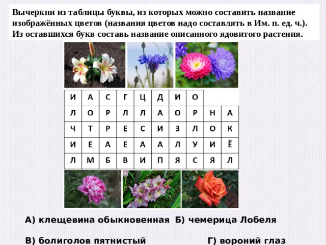 Вычеркни из таблицы буквы, из которых можно составить название изображённых цветов (названия цветов надо составлять в Им. п. ед. ч.). Из оставшихся букв составь название описанного ядовитого растения. А) клещевина обыкновенная  Б) чемерица Лобеля В) болиголов пятнистый  Г) вороний глаз четырёхлистный 