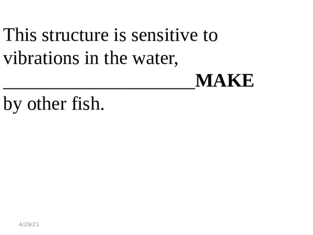 This structure is sensitive to vibrations in the water, ____________________ MAKE by other fish. 4/29/21 