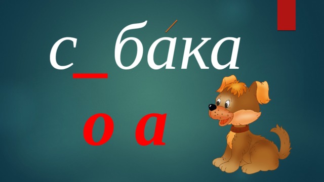 с _ бака о а 