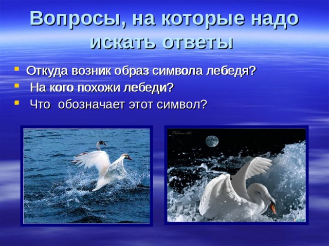 Почему лебедь символ. Лебедь символ чего. Что символизирует лебедь. Что означает лебедь как символ. Что означает лебедь как символ у корейцев.