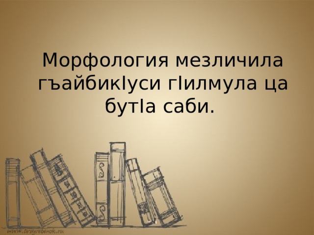 Морфология мезличила гъайбикIуси гIилмула ца бутIа саби.