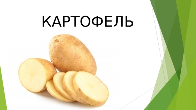 КАРТОФЕЛЬ 