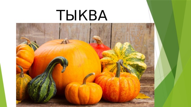 ТЫКВА 