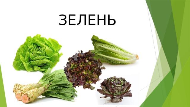 ЗЕЛЕНЬ 