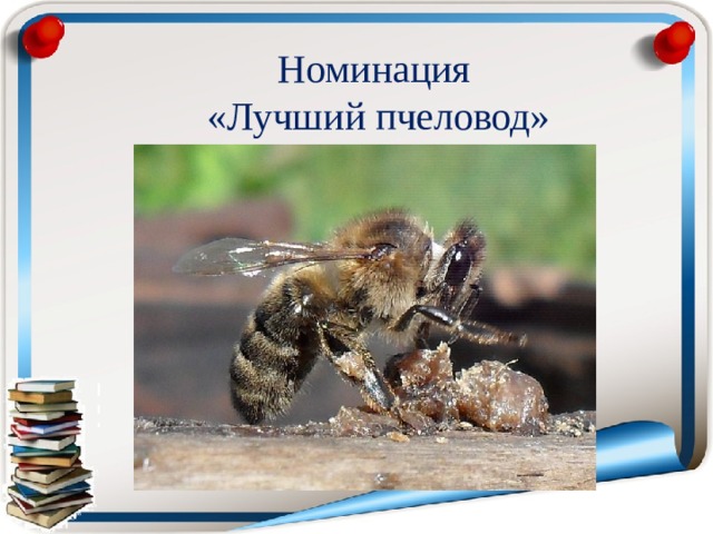 Номинация «Лучший пчеловод»   