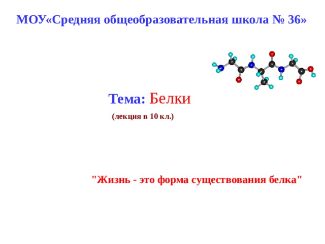 МОУ«Средняя общеобразовательная школа № 36»  Тема:  Белки (лекция в 10 кл.)   