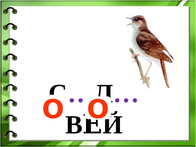 С … Л … ВЕ́Й О О 