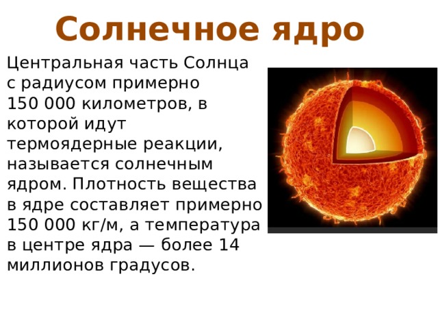 Солнечное ядро Центральная часть Солнца с радиусом примерно 150 000 километров, в которой идут термоядерные реакции, называется солнечным ядром. Плотность вещества в ядре составляет примерно 150 000 кг/м, а температура в центре ядра — более 14 миллионов градусов. 