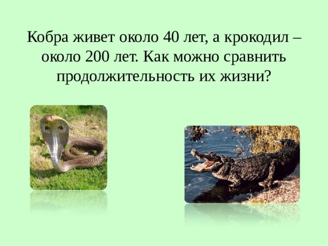 Кобра живет около 40 лет, а крокодил – около 200 лет. Как можно сравнить продолжительность их жизни? 