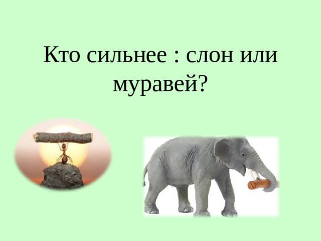  Кто сильнее : слон или муравей? 