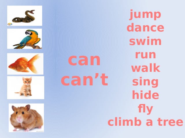 A bird can climb. Карточки по английскому языку Jump. I can Run i can Jump английский. Карточки по английскому языку прыгать. Английский животные can can't.