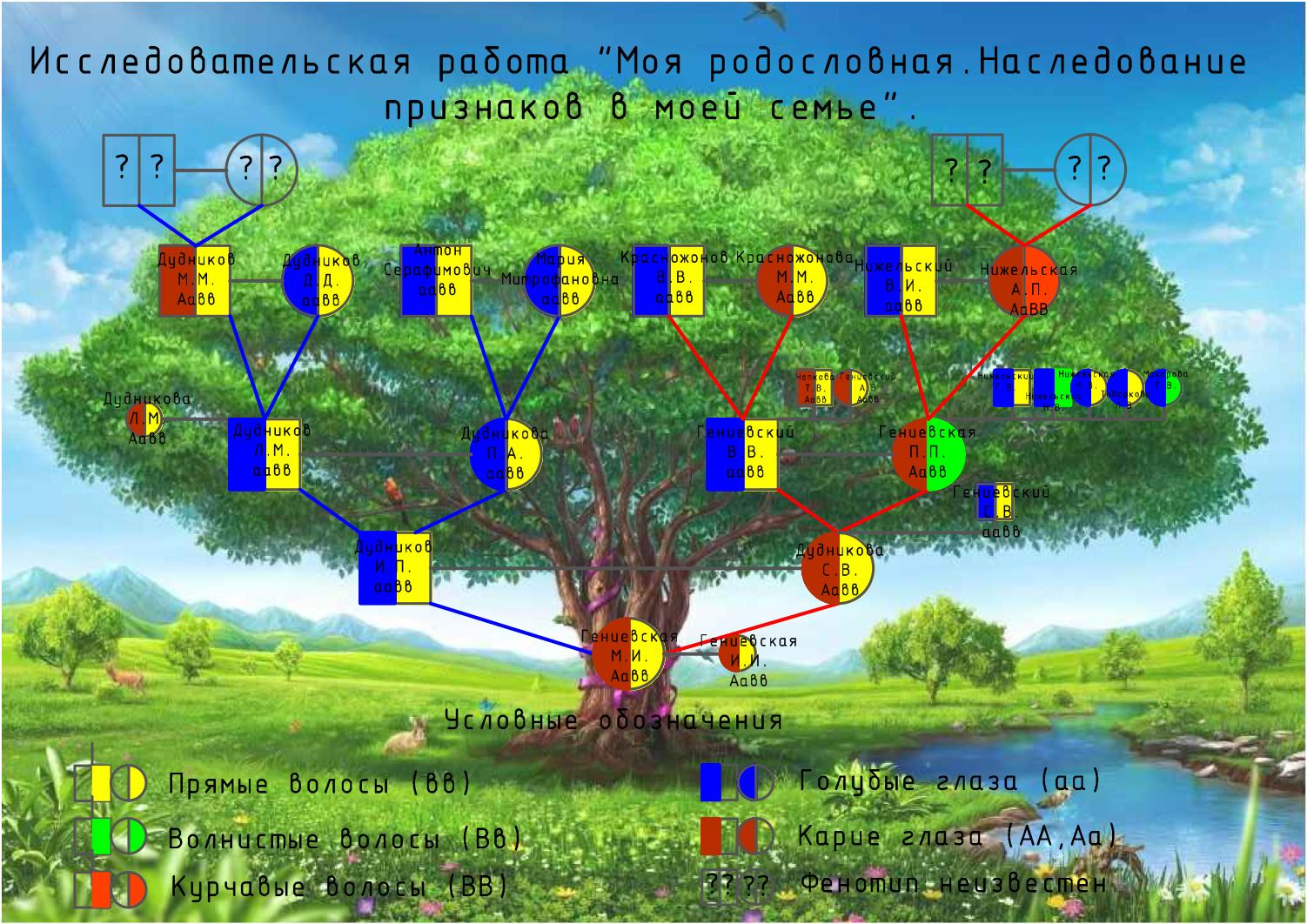 Родословная биология 11 класс. Родовое дерево биология. Генеалогическое дерево биология. Генеалогическое Древо шаблоны для заполнения. Моя родословная биология.