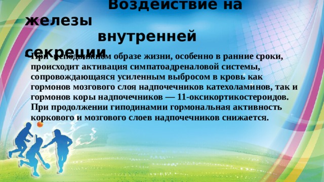  Воздействие на железы  внутренней секреции При неподвижном образе жизни, особенно в ранние сроки, происходит активация симпатоадреналовой системы, сопровождающаяся усиленным выбросом в кровь как гормонов мозгового слоя надпочечников катехоламинов, так и гормонов коры надпочечников — 11-оксикортикостероидов. При продолжении гиподинамии гормональная активность коркового и мозгового слоев надпочечников снижается. 