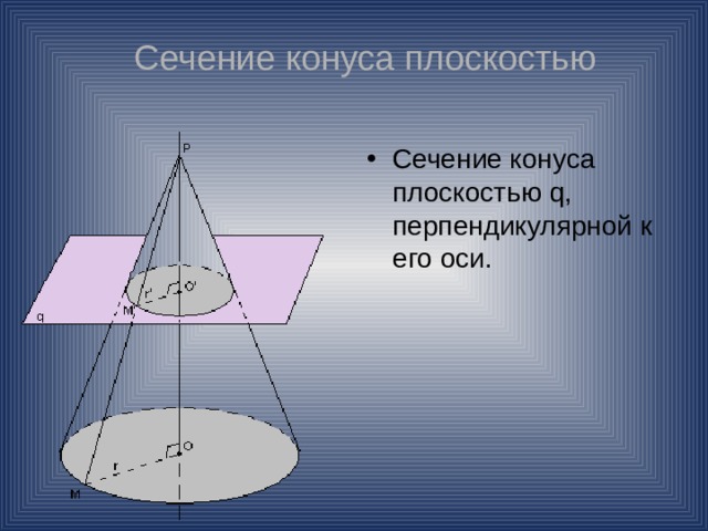 Сечение конуса плоскостью Сечение конуса плоскостью q, перпендикулярной к его оси. 