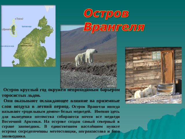  Остров круглый год окружён непроходимым барьером торосистых льдов.  Они оказывают охлаждающее влияние на приземные слои воздуха в летний период . Остров Врангеля иногда называют «родильным домом» белых медведей. Именно здесь для выведения потомства собираются почти все медведи Восточной Арктики. На острове создан самый северный в стране заповедник. В единственном населённом пункте острова сосредоточенны метеостанция, погранзастава и база заповедника. 