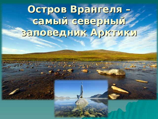 Остров Врангеля – самый северный заповедник Арктики 