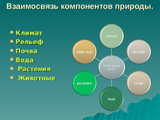 Взаимосвязь компонентов природы. Климат Рельеф Почва Вода  Растения  Животные   