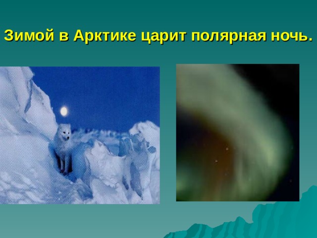 Зимой в Арктике царит полярная ночь. 