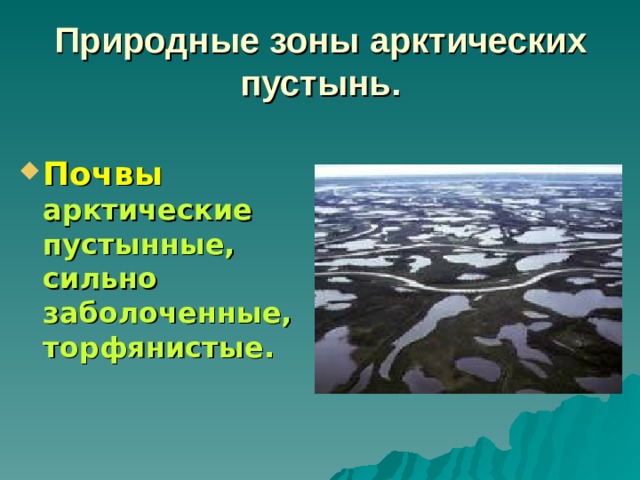 Природные зоны арктических пустынь. Почвы арктические пустынные, сильно заболоченные, торфянистые.  