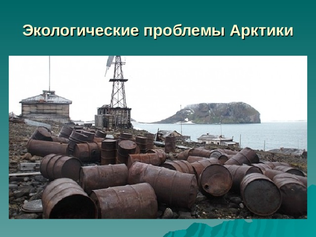 Экологические проблемы Арктики 