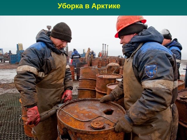 Уборка в Арктике 