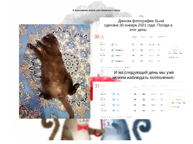   К потеплению кошка спит брюшком к верху   Данная фотография была сделана 30 января 2021 года. Погода в этот день: Погода в этот день: И на следующий день мы уже можем  наблюдать потепление : 