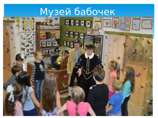Музей бабочек 
