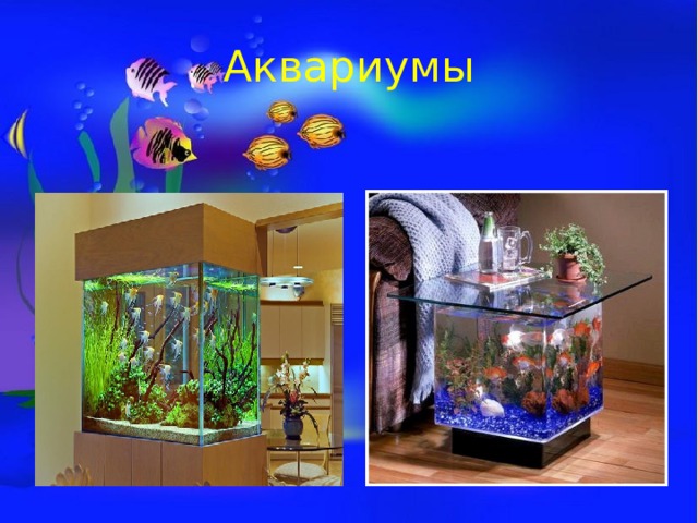 Аквариумы 