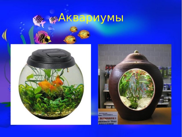 Аквариумы 