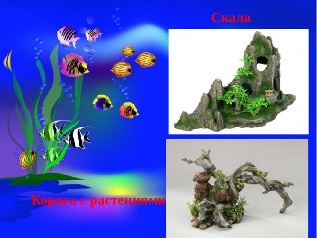 Скала Коряга с растениями 