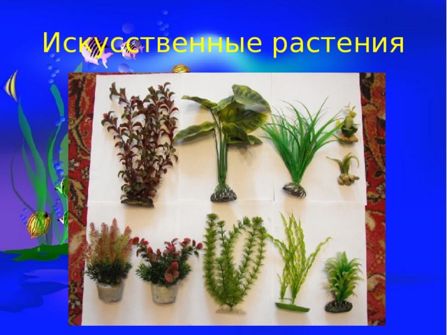 Искусственные растения 