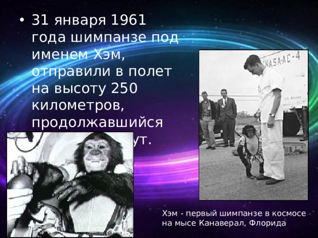 31 января 1961 года шимпанзе под именем Хэм, отправили в полет на высоту 250 километров, продолжавшийся около 16 минут. Хэм - первый шимпанзе в космосе на мысе Канаверал, Флорида 