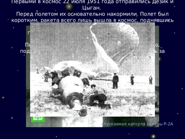 Первыми в космос 22 июля 1951 года отправились Дезик и Цыган. Перед полетом их основательно накормили. Полет был коротким, ракета всего лишь вышла в космос, поднявшись на высоту 87 километров, где от неё отсоединился спускаемый аппарат. Вскоре он уже был на земле. Первые космонавты перенесли полет прекрасно, подтвердив, что живые существа могут выходить за пределы земной атмосферы. спускаемая капсула ракеты Р-2А 